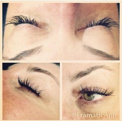 Glamour Lashes