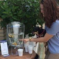 Fresh lemon water for patrons outside HLO office.