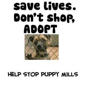 sTOP pUPPY mILLS