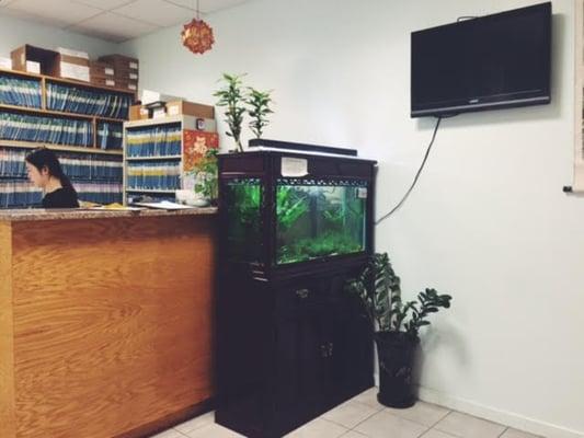 Office at 139 Centre Street with fish tank.