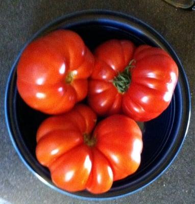 Heirloom tomatoes!!!