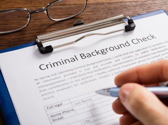 Background Checks: Criminal history, civil history, marriage records, address history, property ownership, business history