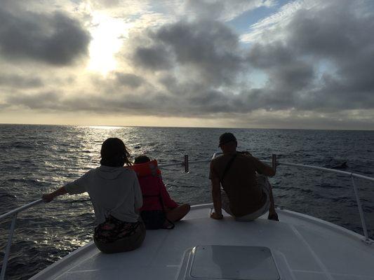 Family coastal cruise, playing with a pod of dolphins as the sun gets ready to set... San Diego paradise