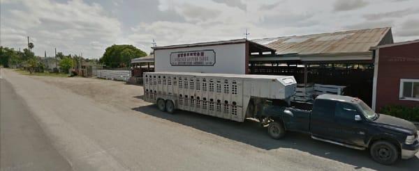 Stockton Livestock Auction Yard