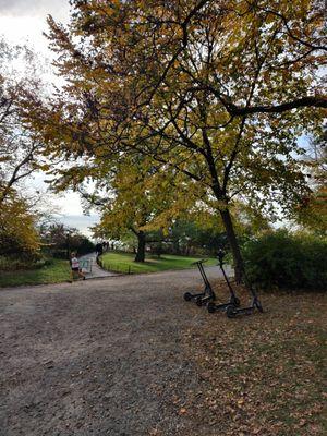 Historical New York City Central Park Scooter and Bike Tours