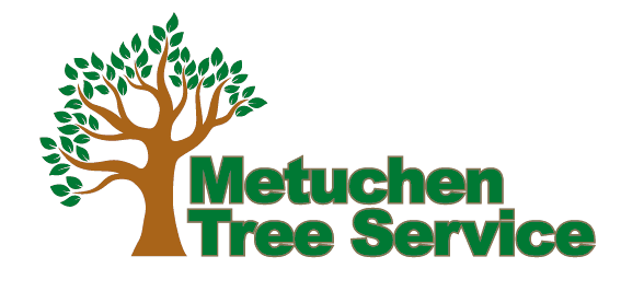 Metuchen Tree Service