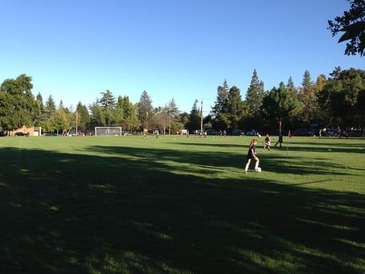 Soccer Field