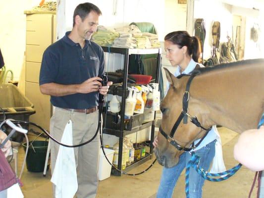 Scoping a horse for gastric ulcers