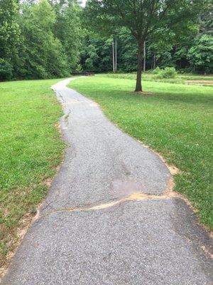 Typical trail view