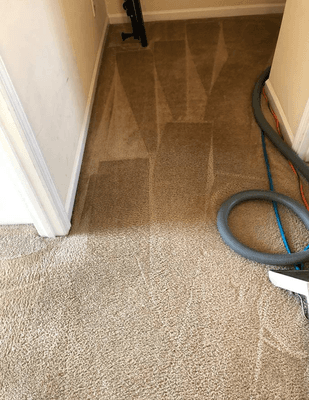 hallway deep cleaning