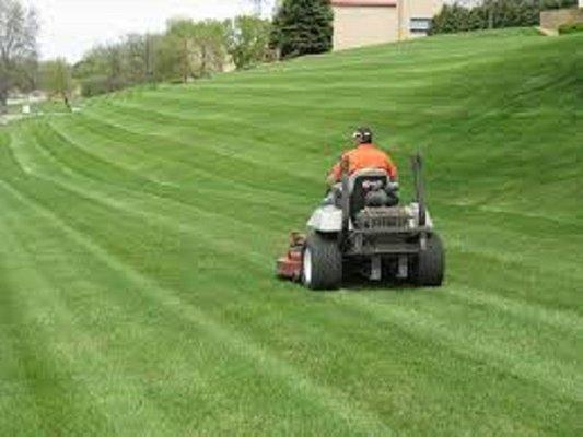 Commercial Lawn care