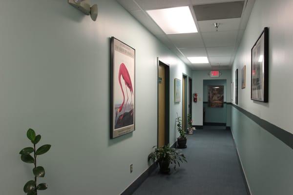 the hallway in the suite