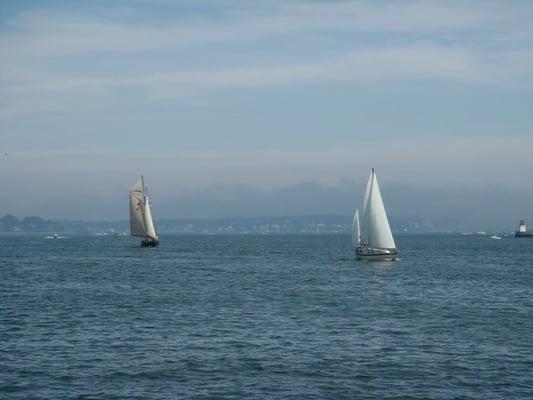 View from the pier