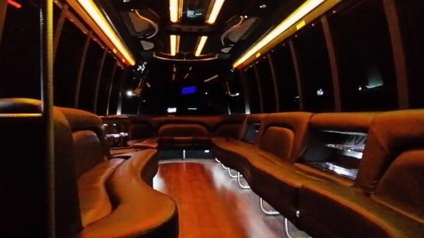 Vineyard Limousine and Party Bus 25 Passenger Party Bus