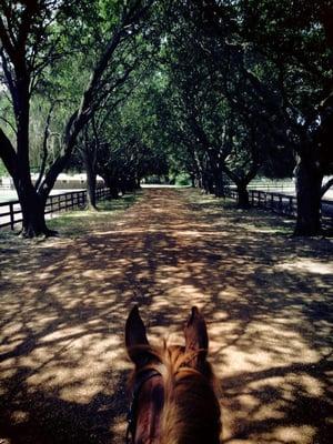 One of the driveways