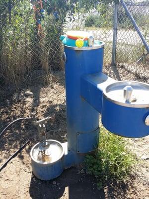 Water fountain . Could be cleaner. It was early am.