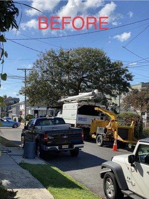 I guess it takes too much time to be thoughtful to clear a path for the wires which also preserves the aesthetic of the tree.