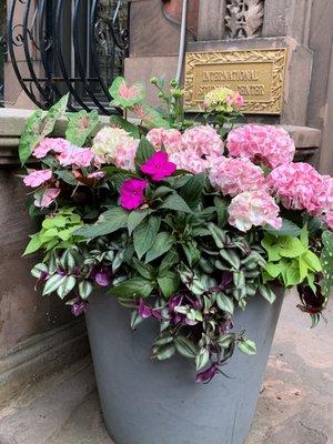 Welcome to the International Student Center! We take great pride in maintaining a beautiful stoop.