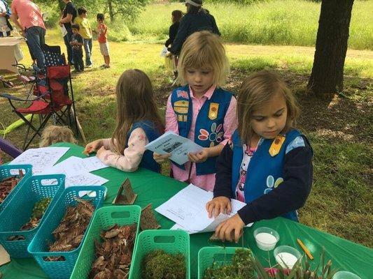 Girl Scouts make nature sculptures at the Koobs Nature Area