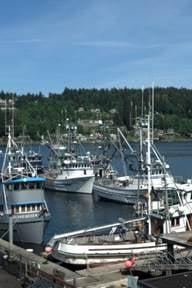 Located in Gig Harbor Washington