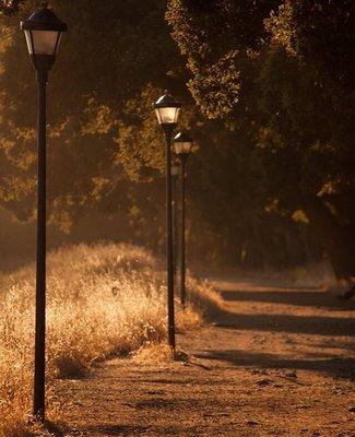 Stanford University