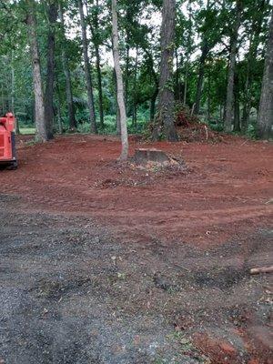 Clearing trees and getting ready for seed.