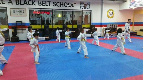 United Family Taekwondo/Martial Arts