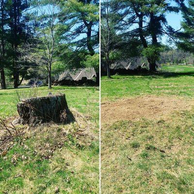 Stump Grinding in Chatham NY