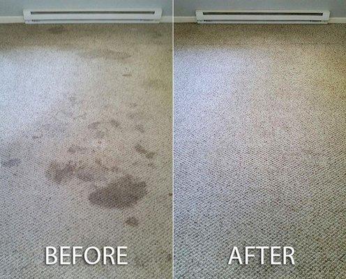 Before and after photo of our carpet