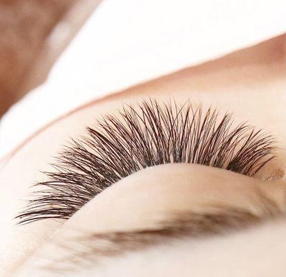 Beauty Eyelash