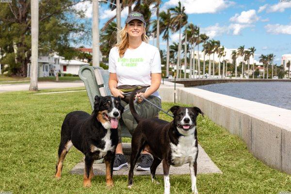 Palm Beach Canine