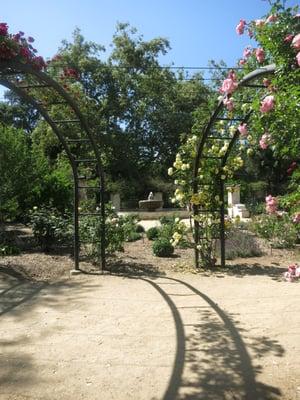 Rose garden...imagine running here!