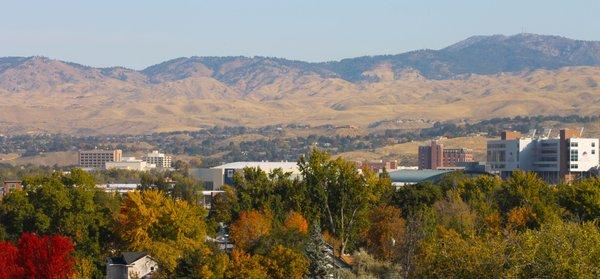 One of our amazing views from our treatment rooms.