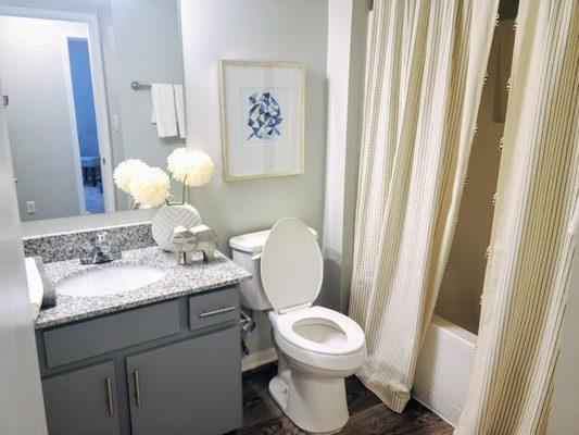 Guest bathroom in 2 bedroom apartment