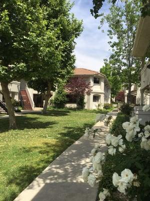 The sidewalk from the pool and mailboxes to Route 66