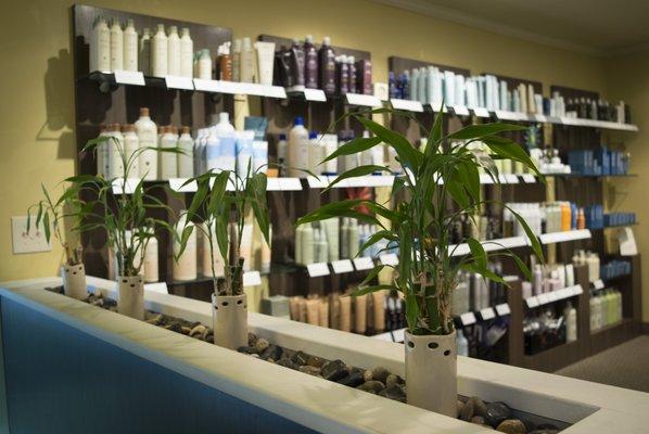 Full line of Aveda retail products