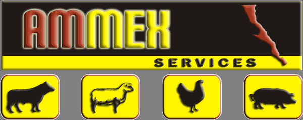 Ammex Service Company