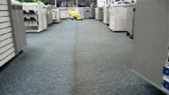 Commercial Office & Retail Steam Carpet Cleaning Services