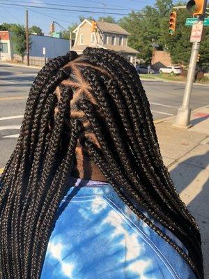 Triangle part Box Braids