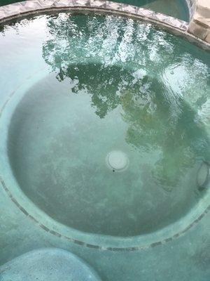 Weekly maintenance......hmmmmmm..... would you sit in this hottub?