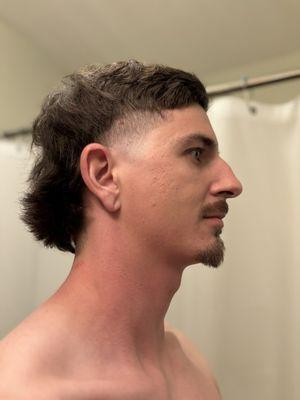 Modern Mullet