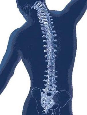 Brea Spine & Disc Laser