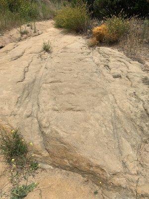 Marks left behind from stagecoach tires