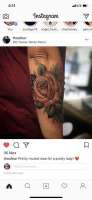 Rose by Thea