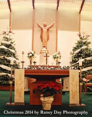 The altar at Christmas, 2014.