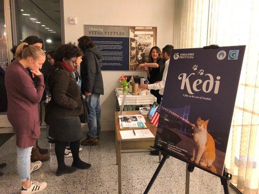 "Kedi" Movie Screening