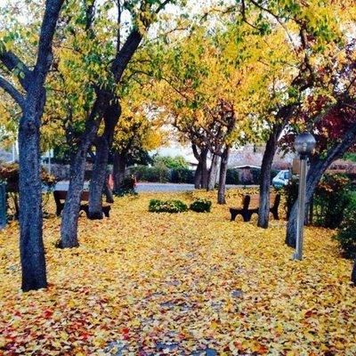 Walkway to parking lot in fall