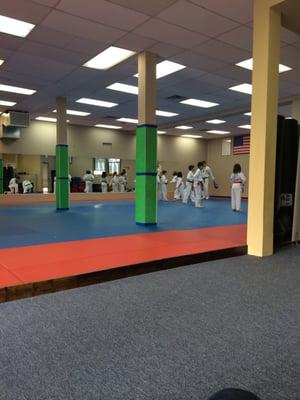 Taekwondo class for kids.