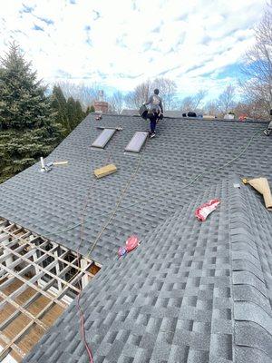 LionShield Roofing Company