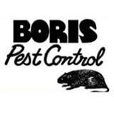 Boris Pest Control